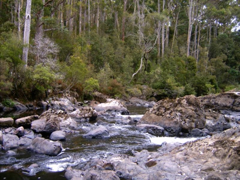 520 Harveys Road, North Motton TAS 7315