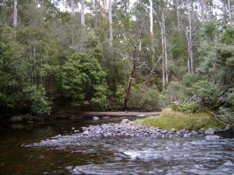 520 Harveys Road, North Motton TAS 7315