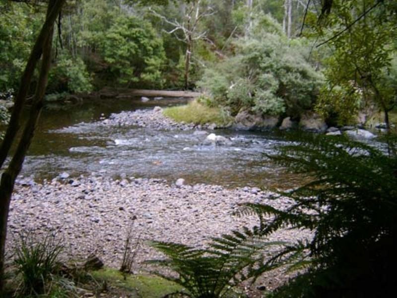 520 Harveys Road, North Motton TAS 7315