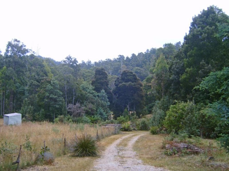 520 Harveys Road, North Motton TAS 7315