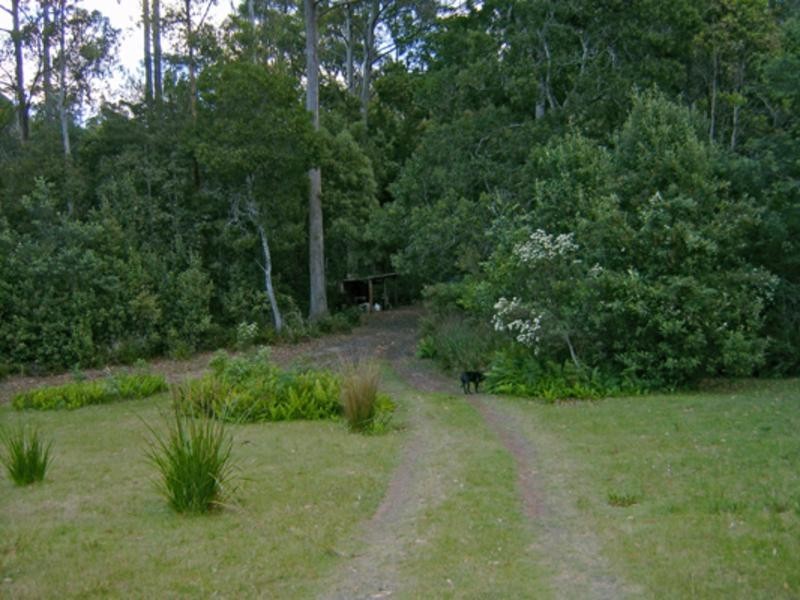 520 Harveys Road, North Motton TAS 7315