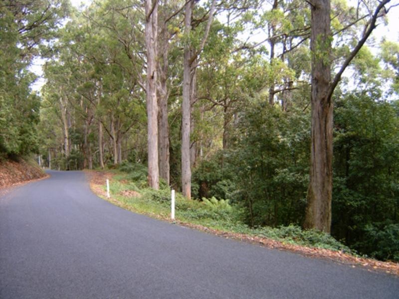 520 Harveys Road, North Motton TAS 7315