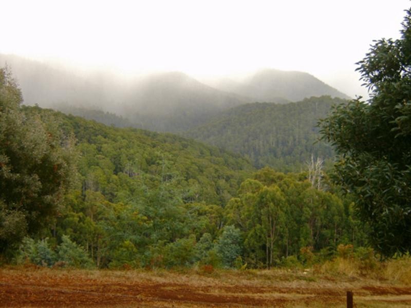 520 Harveys Road, North Motton TAS 7315