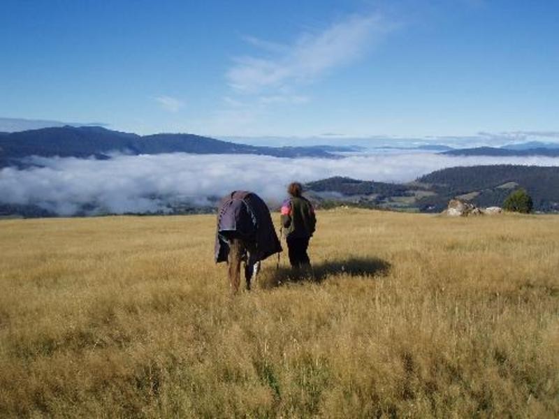 298 Cloverside Road, Huonville TAS 7109