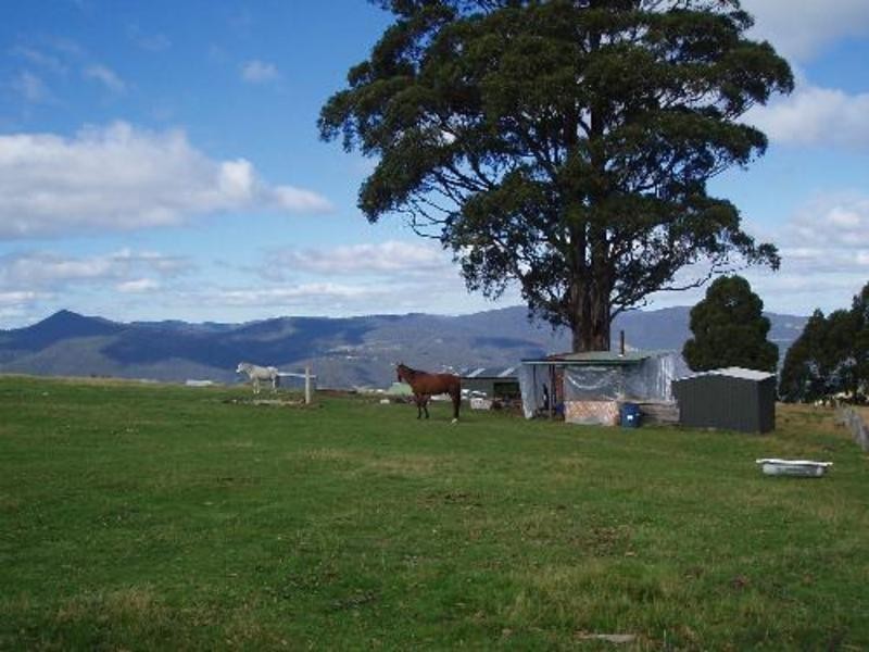 298 Cloverside Road, Huonville TAS 7109