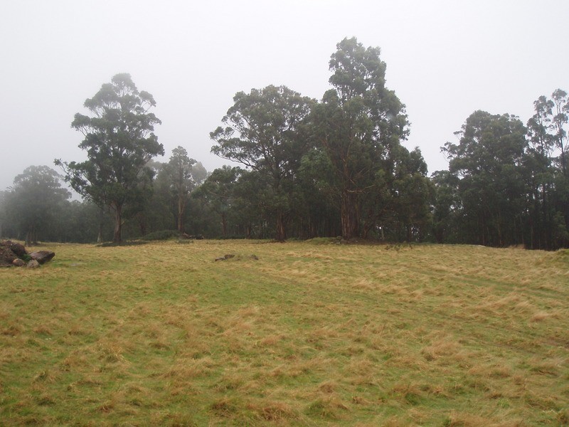 298 Cloverside Road, Huonville TAS 7109