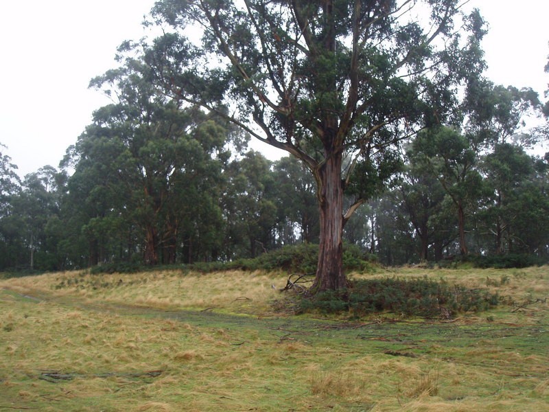 298 Cloverside Road, Huonville TAS 7109