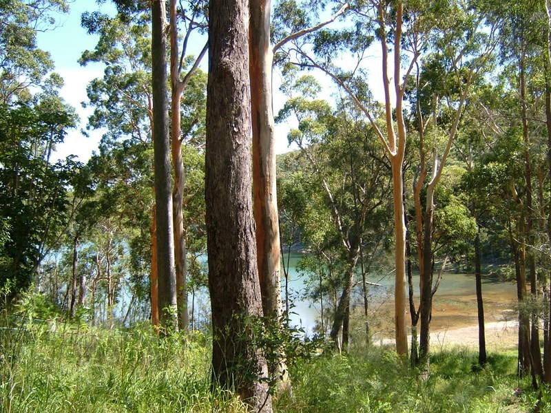 173 Amaroo Drive, Smiths Lake NSW 2428