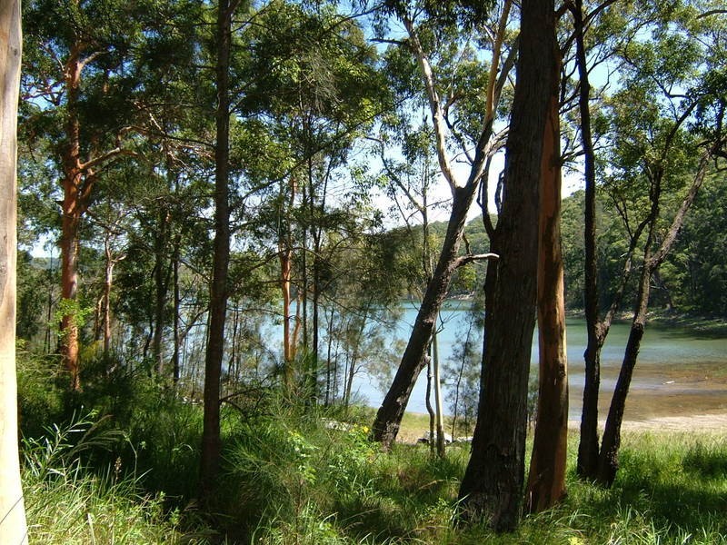 173 Amaroo Drive, Smiths Lake NSW 2428