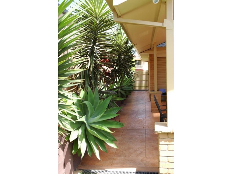 17 Wilton Drive, East Maitland NSW 2323