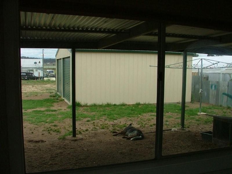 8 Medora Street, Inverell NSW 2360