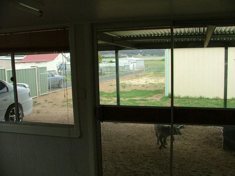 8 Medora Street, Inverell NSW 2360