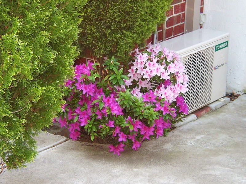 156 Cape Street, Heidelberg VIC 3084