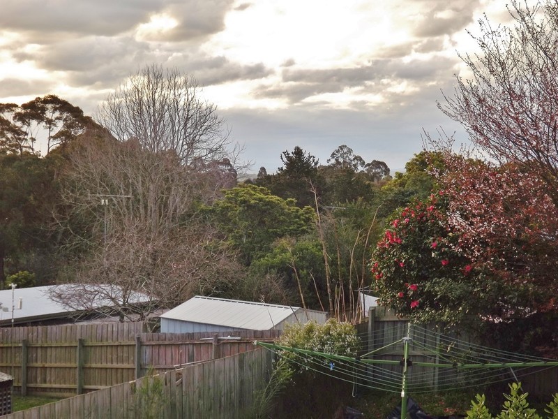 41  Smallburn Avenue, Newborough VIC 3825