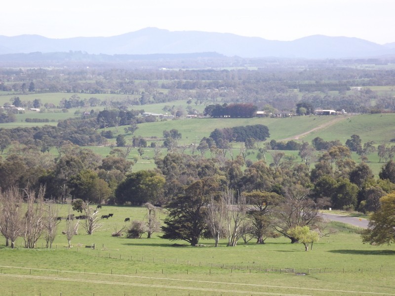 1 Sharnee Court, Moe VIC 3825