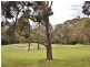 37 Fairway Drive, Newborough VIC 3825