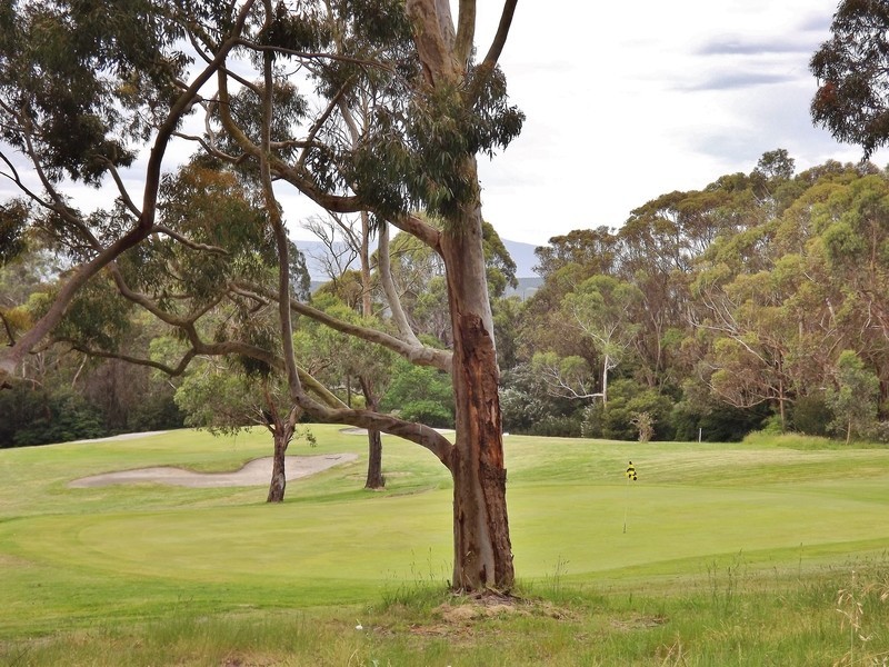 37 Fairway Drive, Newborough VIC 3825