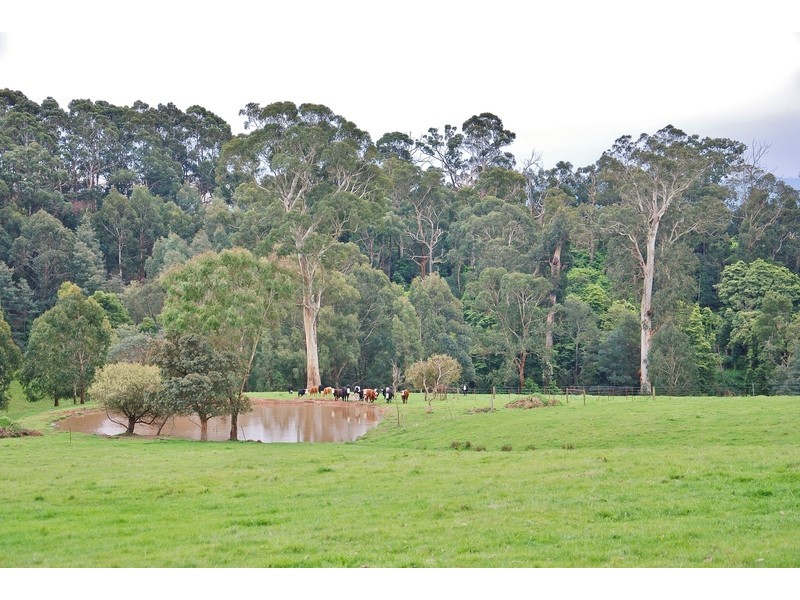 303 Mountain Glen Drive, Trafalgar East VIC 3824