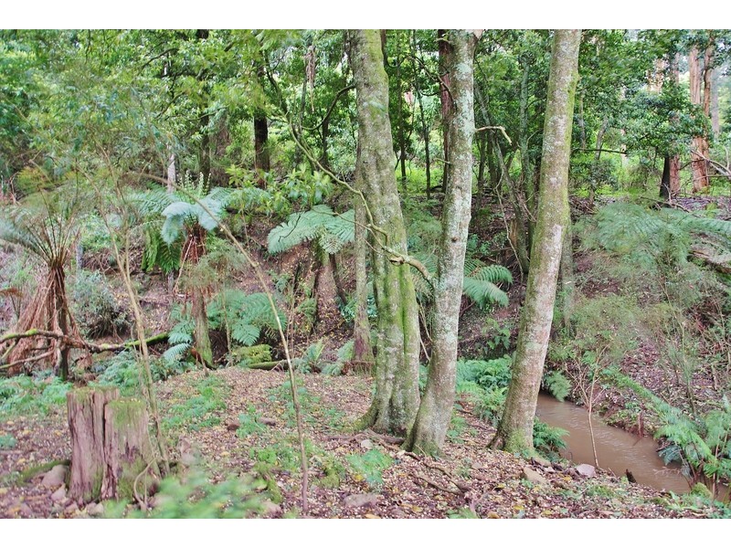 303 Mountain Glen Drive, Trafalgar East VIC 3824