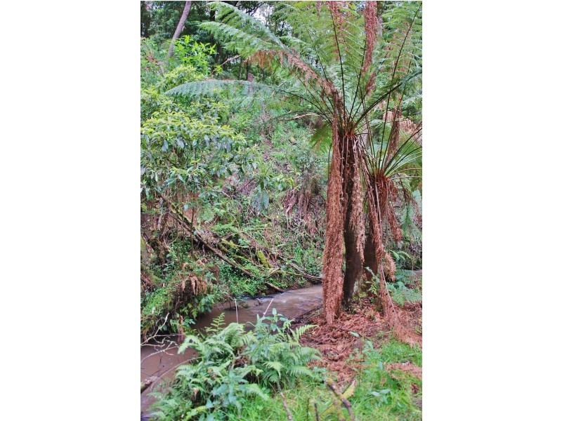 303 Mountain Glen Drive, Trafalgar East VIC 3824