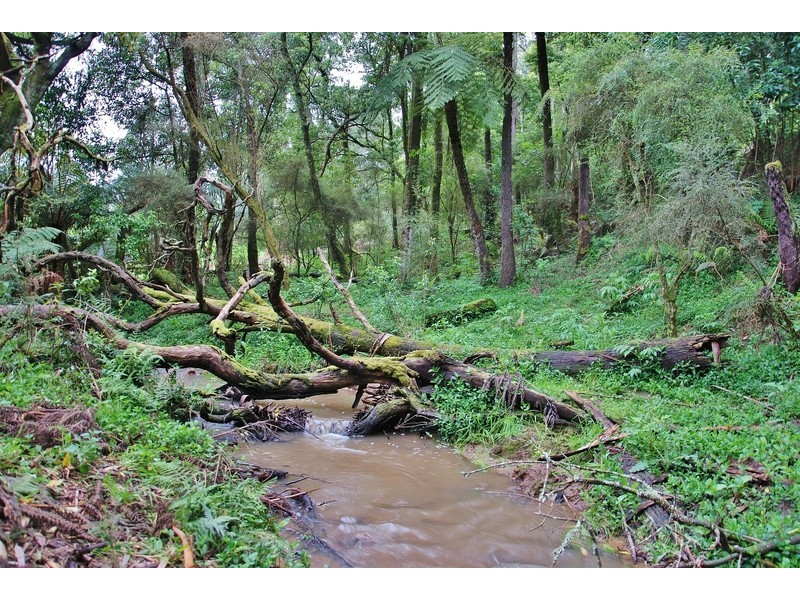 303 Mountain Glen Drive, Trafalgar East VIC 3824