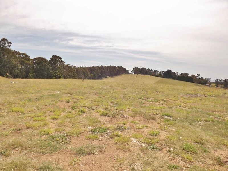 Lot 1 Moe South Road, Moe South VIC 3825