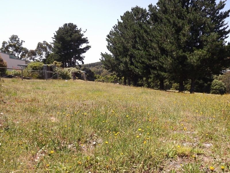 395 McDonalds Track, Hernes Oak VIC 3825