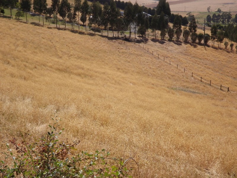 285 Coalville Road, Moe South VIC 3825