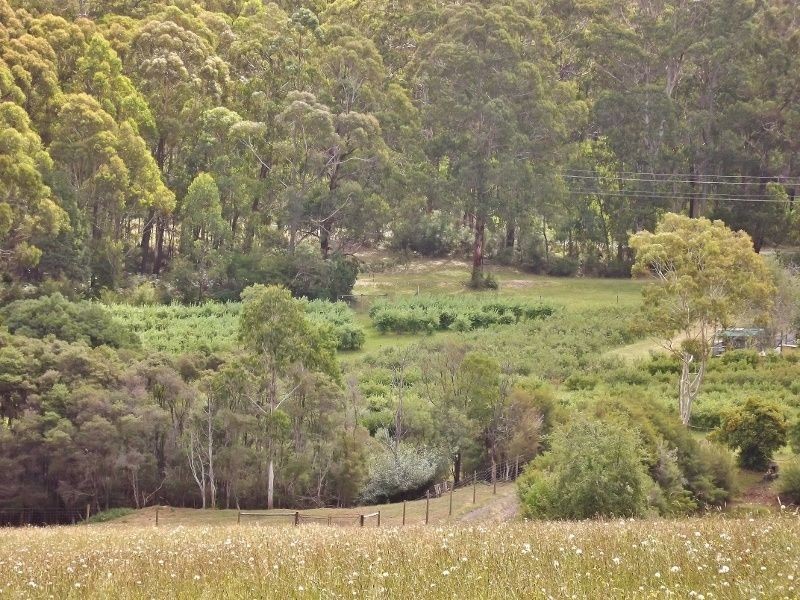 2786 Moe-Rawson Road, Erica VIC 3825