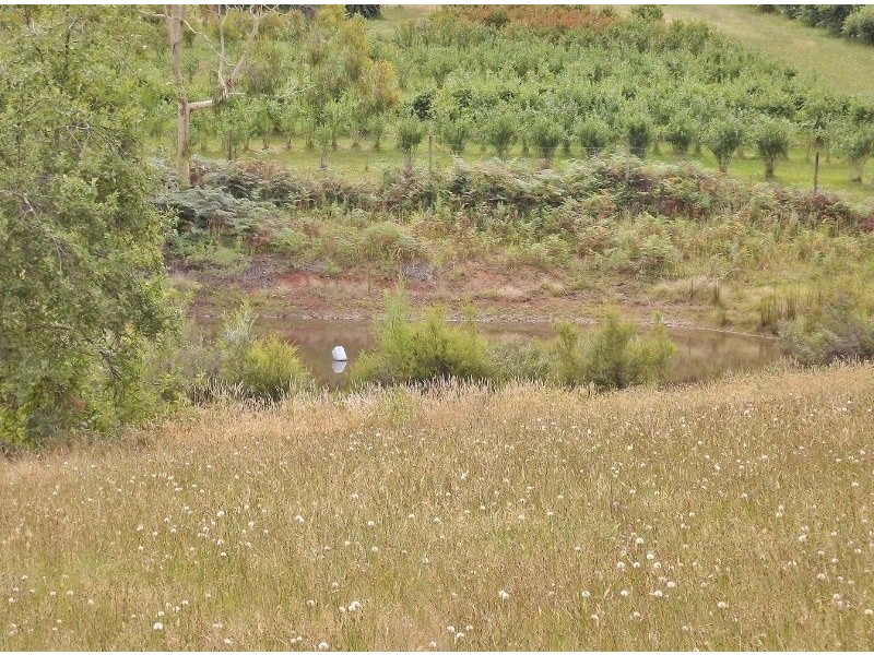 2786 Moe-Rawson Road, Erica VIC 3825