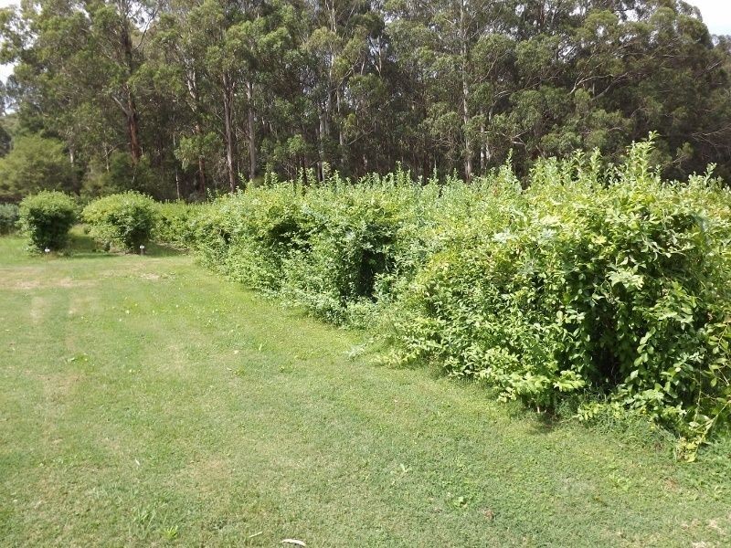 2786 Moe-Rawson Road, Erica VIC 3825