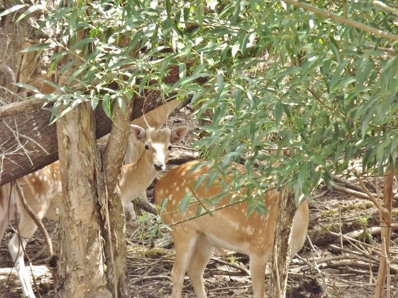 2786 Moe-Rawson Road, Erica VIC 3825