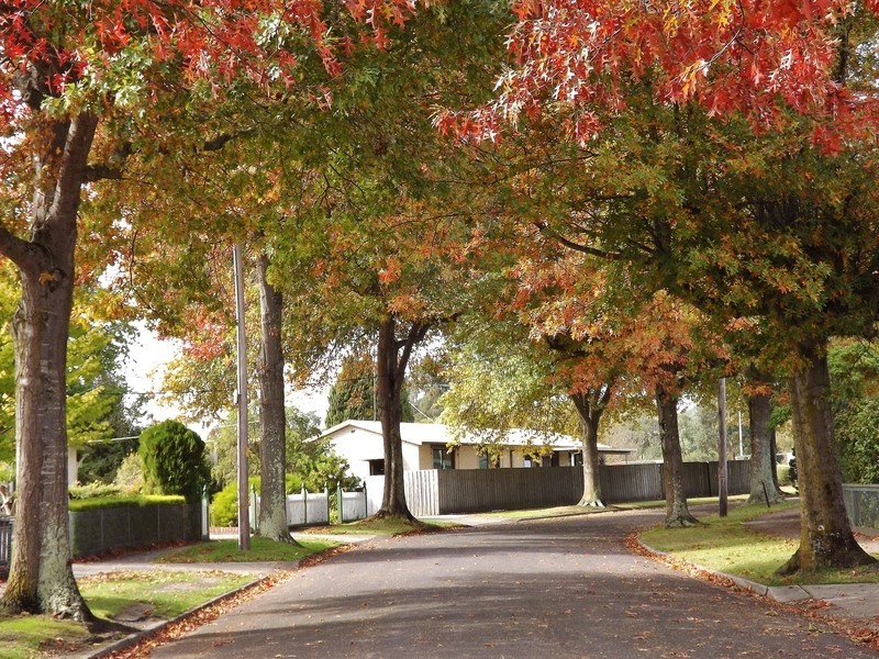 8 Thorpdale Street, Newborough VIC 3825