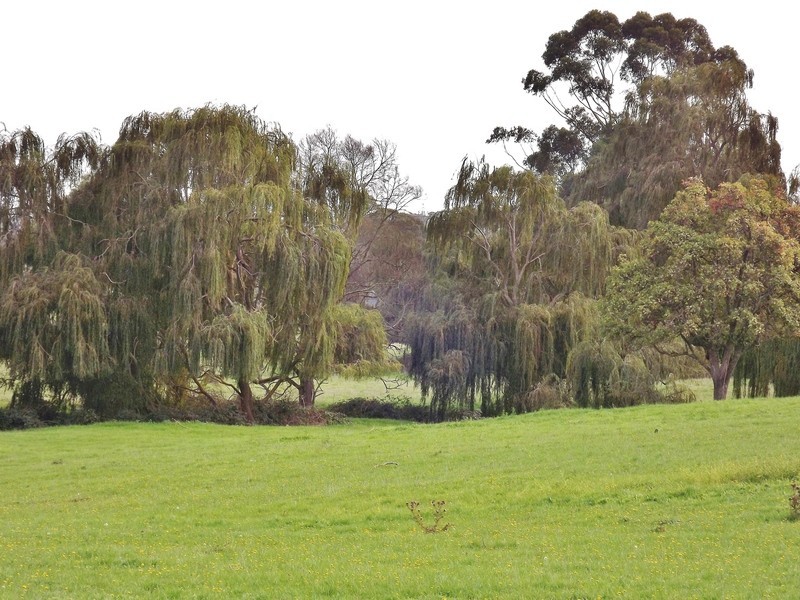120 Old Sale Road, Newborough VIC 3825