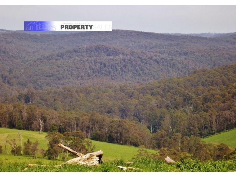100 Paynters Road, Hill End VIC 3825
