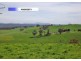 100 Paynters Road, Hill End VIC 3825