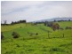100 Paynters Road, Hill End VIC 3825