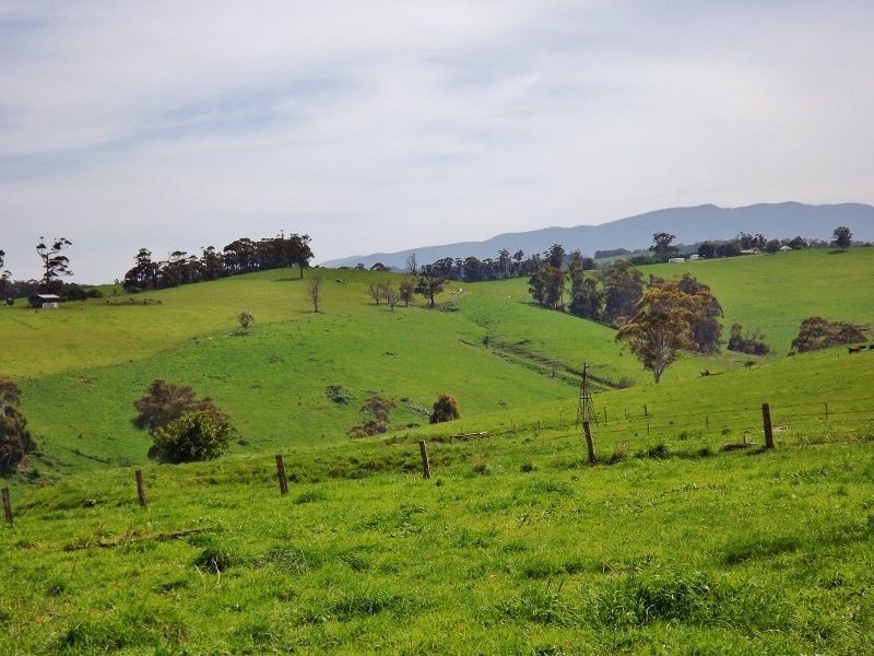 100 Paynters Road, Hill End VIC 3825