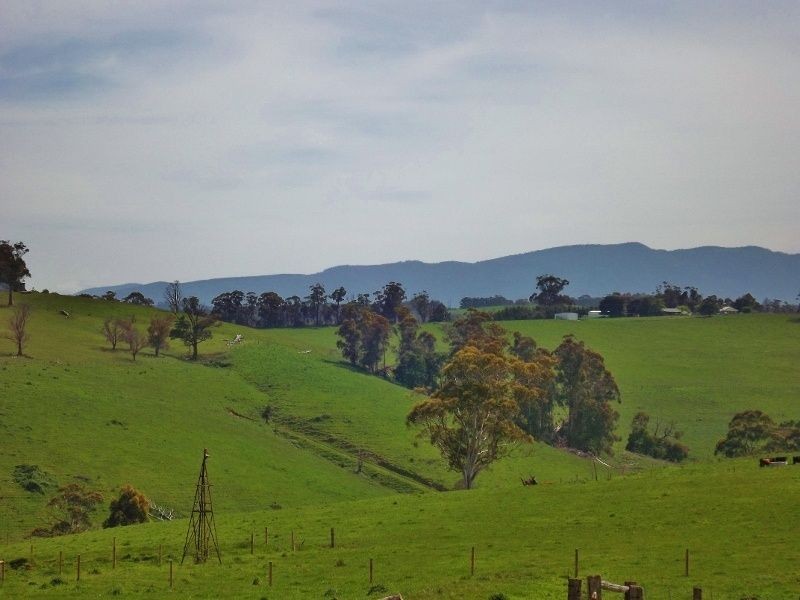 100 Paynters Road, Hill End VIC 3825