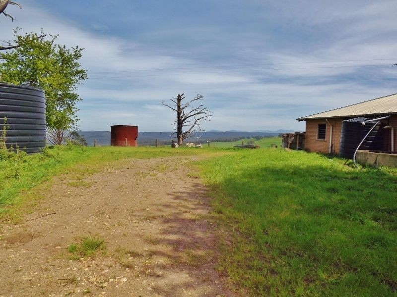 100 Paynters Road, Hill End VIC 3825