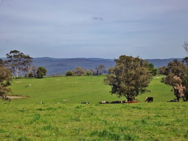 30 Paynters Road, Hill End VIC 3825