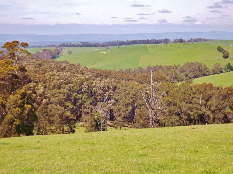 30 Paynters Road, Hill End VIC 3825