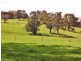 30 Paynters Road, Hill End VIC 3825