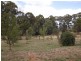 285 Old Walhalla Road, Moondarra VIC 3825