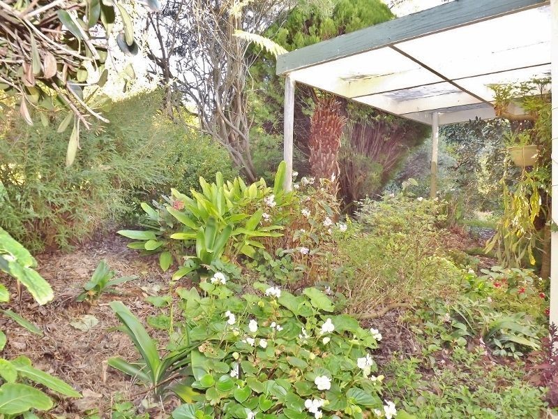 4 Sasse Court, Moe VIC 3825