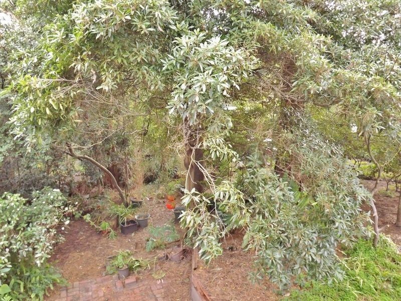 11-13 March Street, Newborough VIC 3825