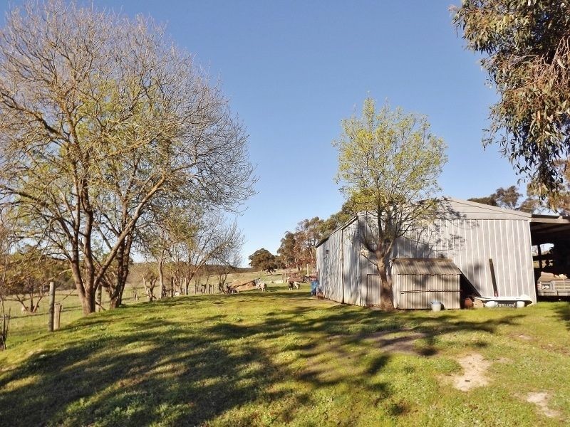 74 Thalloo Road, Thalloo VIC 3825
