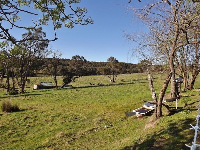 74 Thalloo Road, Thalloo VIC 3825