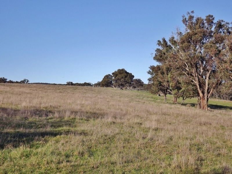 74 Thalloo Road, Thalloo VIC 3825