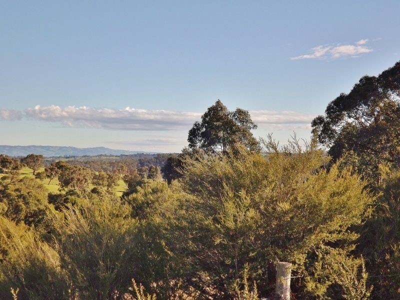 74 Thalloo Road, Thalloo VIC 3825